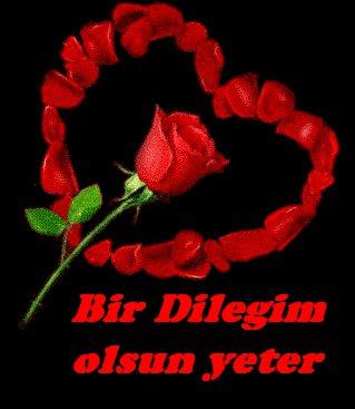 28435_1198206615867_1849566498_373310_506218_n