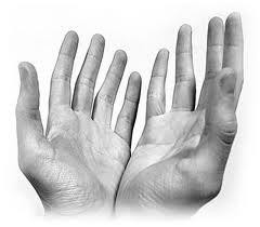 378576_312430235465797_175368162505339_889381_1877666137_n