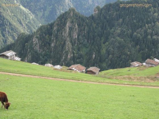 129243389393232777_wide