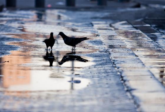 225798d5b89652cbfefa0cb