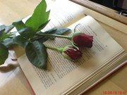 186884_1407404893_6686544_n