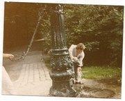 420228_315559668504715_18115985_n