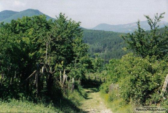 b1157906932minus00ek1